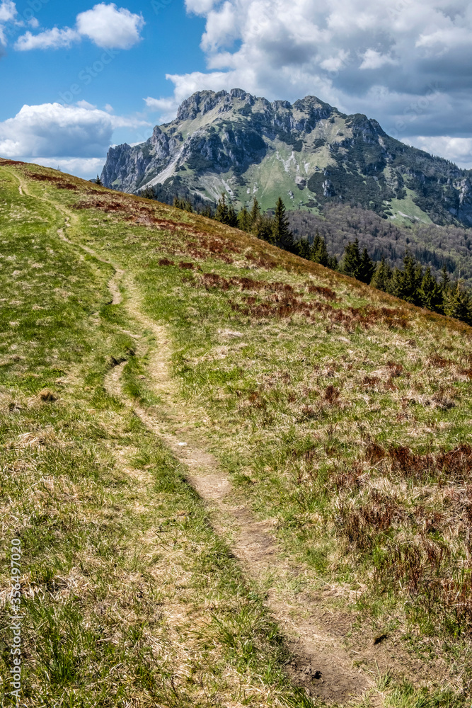 Big Rozsutec, Little Fatra, Slovakia, springtime scene Big Rozsutec, Little Fatra, Slovakia, springtime scene