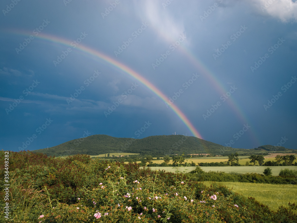 Fototapeta premium Before the storm