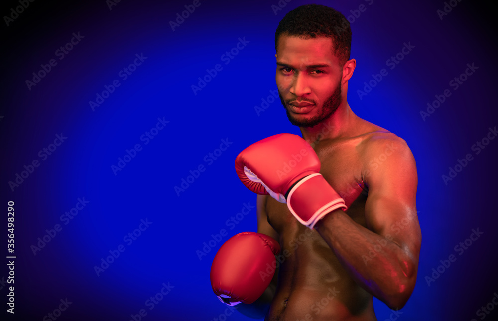 Determined Boxer Posing Wearing Gloves Ready To Fight, Studio Shot Determined Boxer Posing Wearing Gloves Ready To Fight, Studio Shot