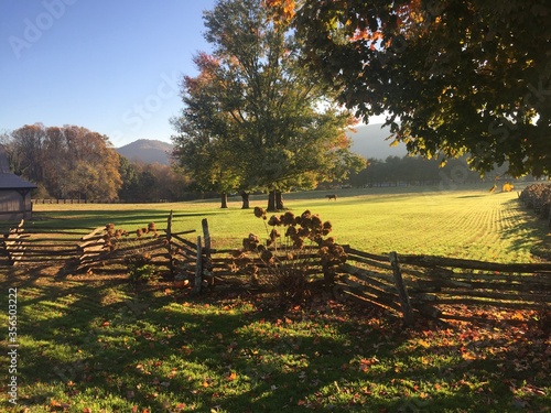 Morning Farm Land