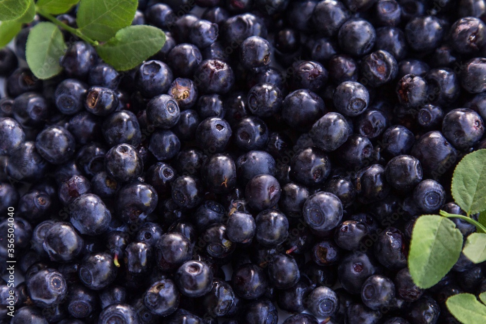 background of fresh forest berries blueberries scattered on the table background of fresh forest berries blueberries scattered on the table