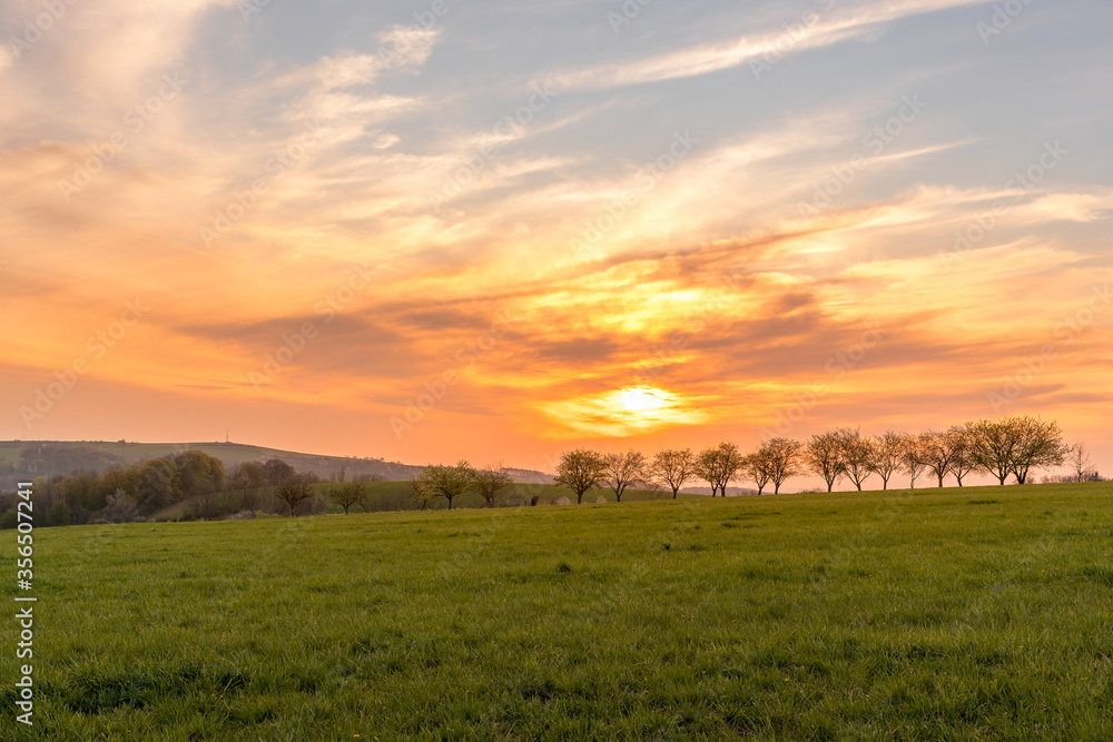 Sunset over a line of apple trees standing in a row. Sunset over a line of apple trees standing in a row.
