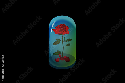 Red rose