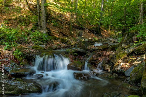 A mountain stream flowing through a landscape in a dense forest captured by long exposure time.