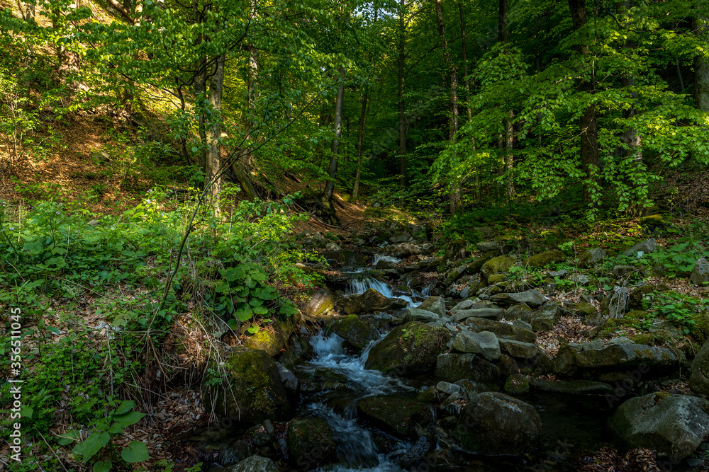 A mountain stream flowing through a landscape in a dense forest captured by long exposure time. A mountain stream flowing through a landscape in a dense forest captured by long exposure time.