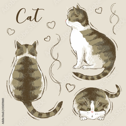 Set of three tabby cats, hearts and wavy lines around, hand-drawn.