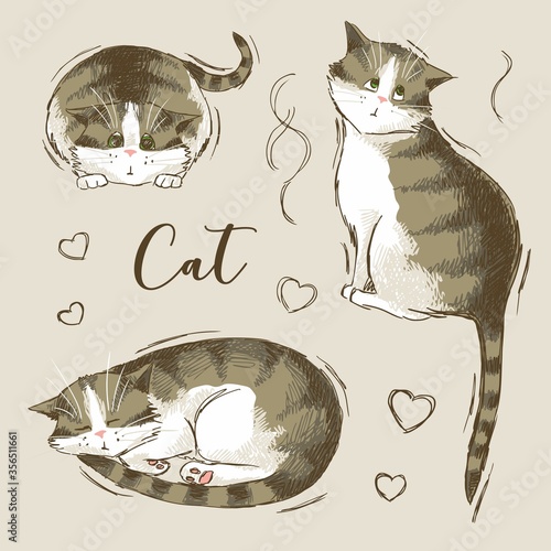 Set of three tabby cats, hearts and wavy lines around, hand-drawn.