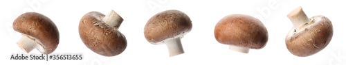 Set with fresh champignon mushrooms on white background, banner design