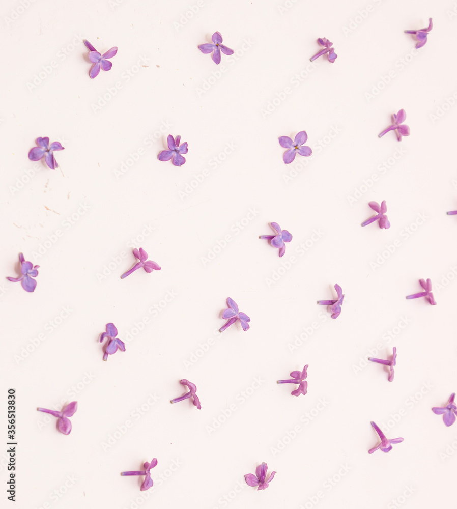 Pattern of lilac flowers on a white background