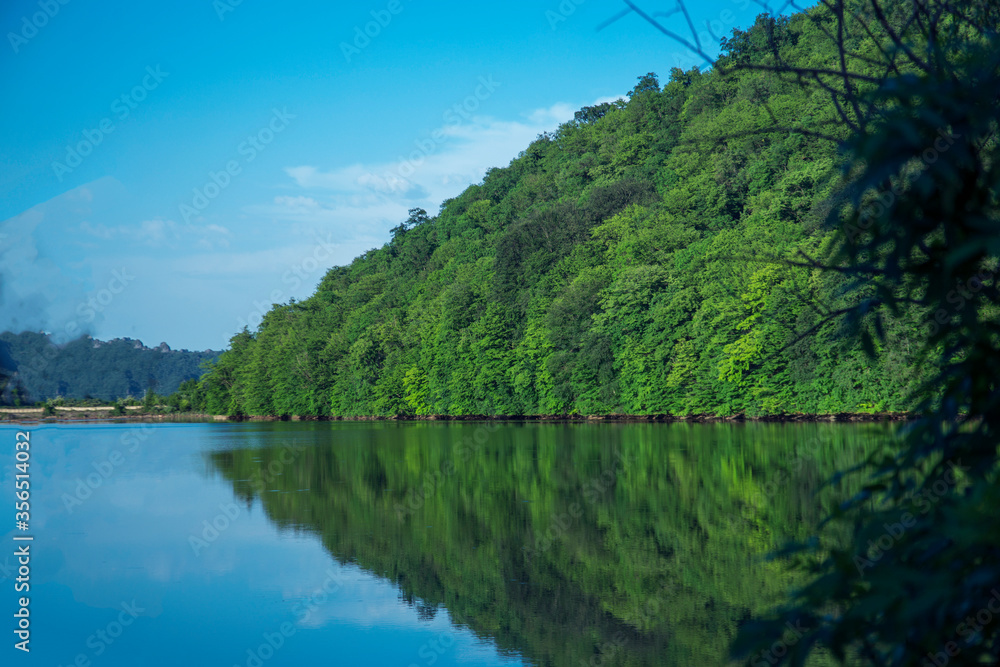 Beautiful wild nature park, forest. River or lake with mirror reflections and clear water on sunny day.