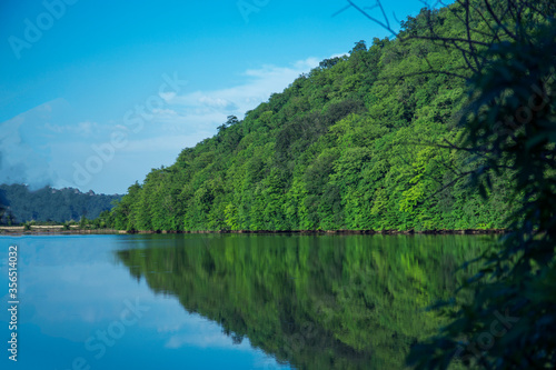 Beautiful wild nature park, forest. River or lake with mirror reflections and clear water on sunny day.