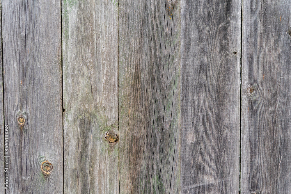 Fototapeta premium Old gray with a green touch wooden wall, aged background and texture. Rustic wooden board. natural patterns background