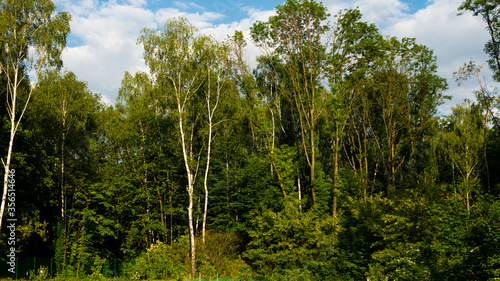  Landscapes and views in the Botanical Garden in Radzionków. Ready for entry.