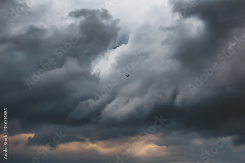 Colorful sky with clouds, a bird in flight. Background design.