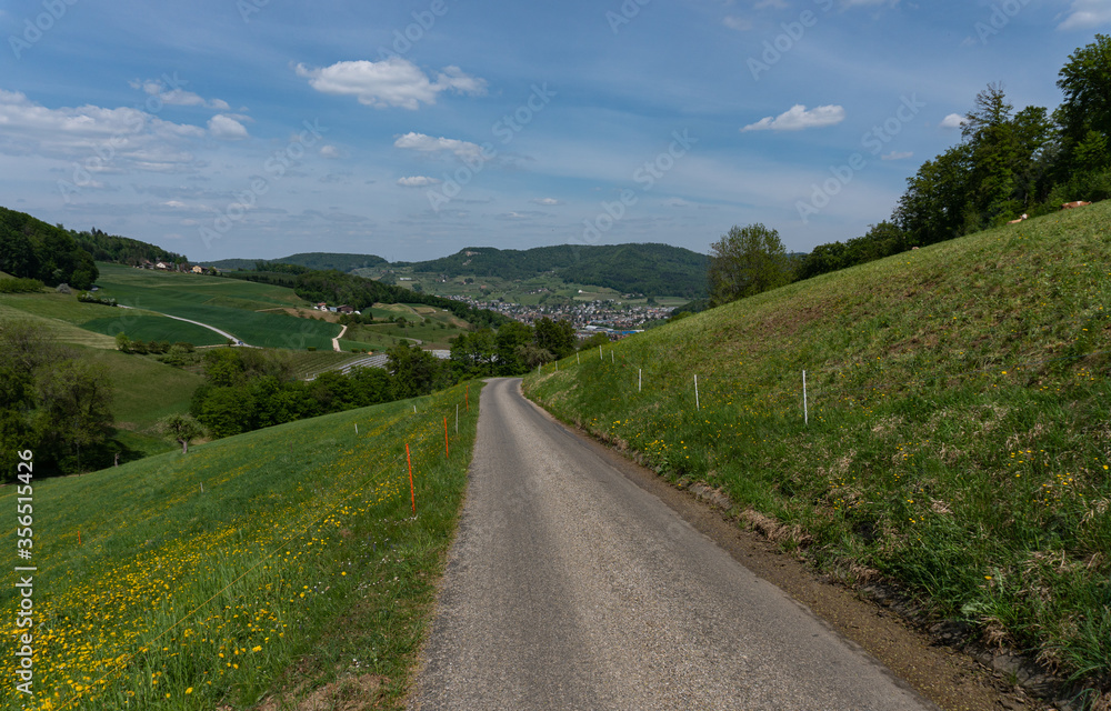 open road with the village Zunzgen in the back