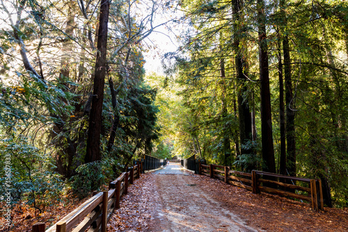 Big Sur Campground And Cabins