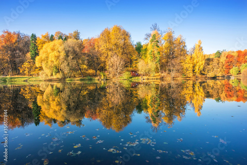 Autumn multi-colored trees with mirror reflection in Tsaritsyno in Moscow