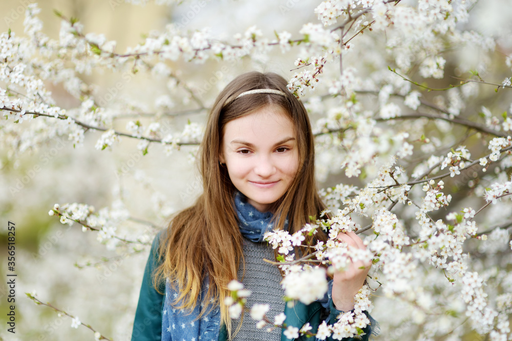 Adorable little girl in blooming apple tree garden on beautiful spring day. Child picking fresh apple tree flowers at spring. Adorable little girl in blooming apple tree garden on beautiful spring day. Child picking fresh apple tree flowers at spring.
