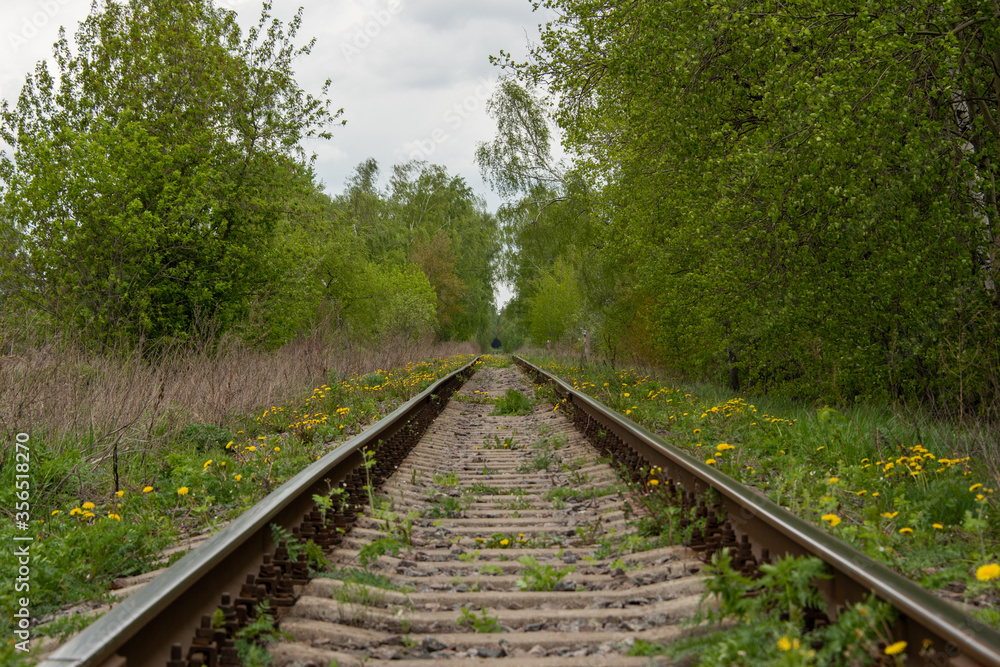 old railway in the summer forest old railway in the summer forest