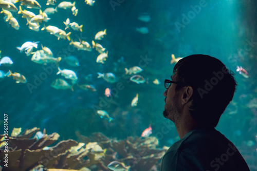 A man silhouette looking tropical sea life and fishes, through the windows of an aquarius tank - Underwater sea life in the aquarium, zoo