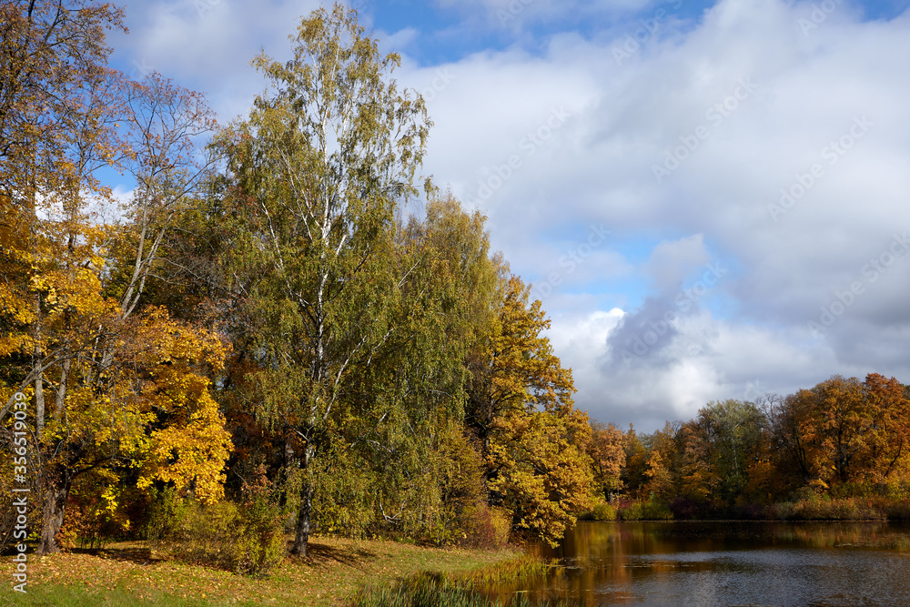 Autumn. Park. On the right and left sides of the river there are trees with yellow and purple leaves. White clouds against a blue sky. Autumn. Park. On the right and left sides of the river there are trees with yellow and purple leaves. White clouds against a blue sky.