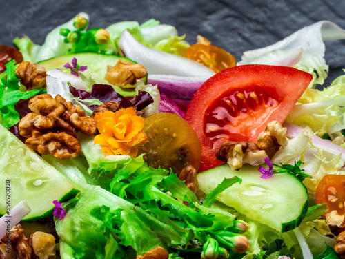 Salad of different types of lettuce photo