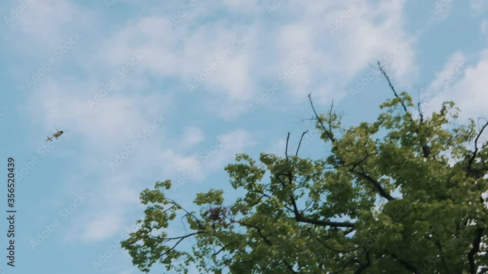Helicopter and bird flying in the blue sky Helicopter and bird flying in the blue sky
