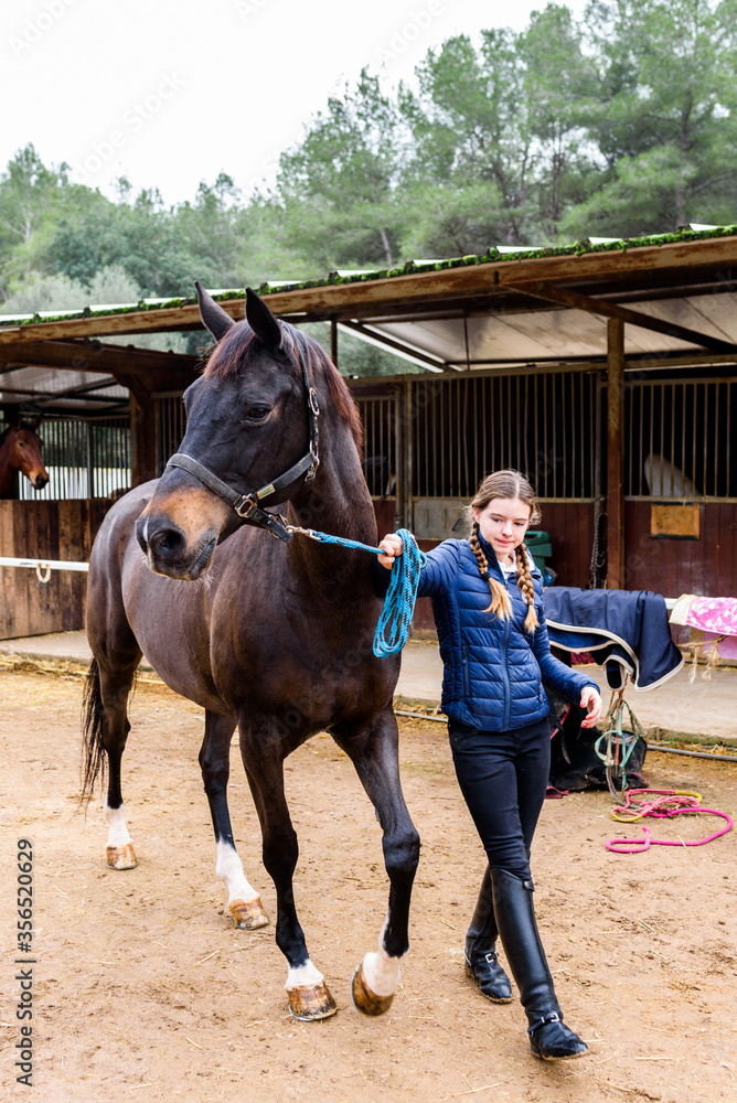 Full body teen jockey pulling reins of brown horse while walking on sandy ground of dressage