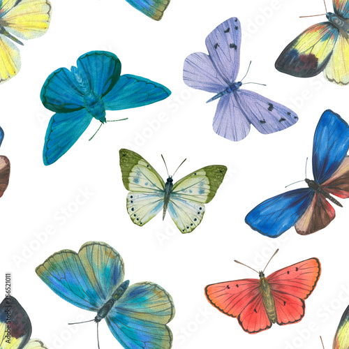 Different color butterflies painted by watercolor. Seamless botanical pattern. Watercolor illustration of butterflies for packaging and printing.