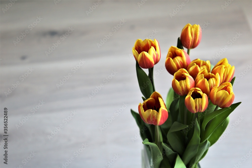 Fototapeta premium Tulipany, bukiet kwiatów