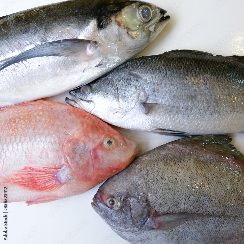 fresh fish on ice fresh fish on ice