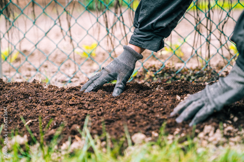 Anonymous gardener in gloves working with soil photo