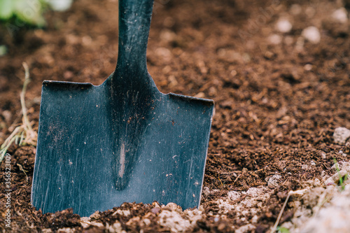 Shovel with soil in garden photo