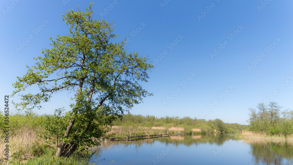 Nature Reserve The Ankeveense Plassen in April 2020 Nature Reserve The Ankeveense Plassen in April 2020