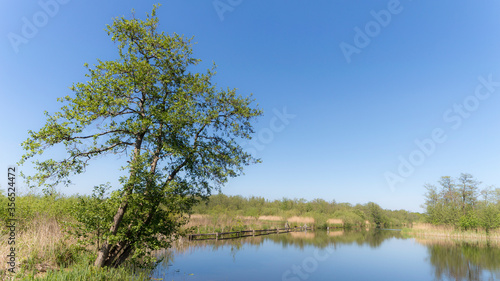 Nature Reserve The Ankeveense Plassen in April 2020 © Robrecht