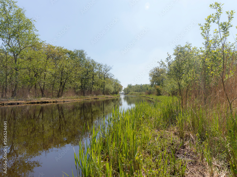 Nature Reserve The Ankeveense Plassen in April 2020