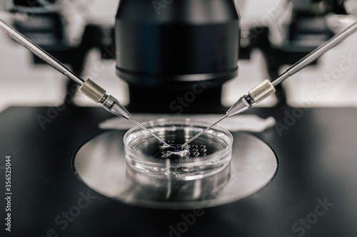 Closeup thin needles inserting sperm into ovum during fertilization process in modern clinic