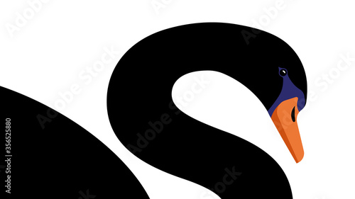 The Black Swan Theory. Unexpected circumstance concept. Giant Black swan on white background. Concept of crash, crisis, unexpected occasion. Vector modern illustration.
