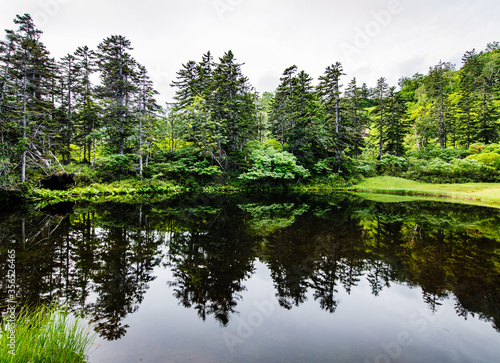 Midori-numa Pond, Daisetsu Kogen Onsen trail, Daisetsuzan National Park, Kamikawa, Hokkaidō, Japan, Asia photo