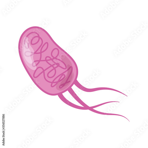 virus bacteria microbiology infectious sick isolated icon design