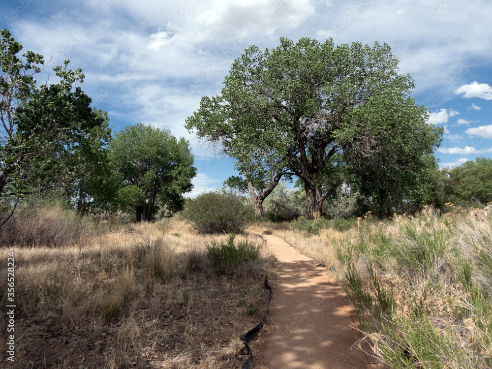 Fototapeta premium Summer path in the country