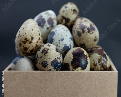 Quail egg inside wooden box on dark background photo