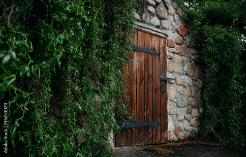 Window view of an old building with wooden shutters surrounded by green foliage. Concept of architecture, plants, landscape design.