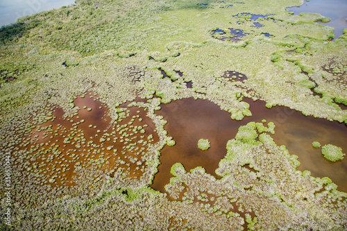Tableau sur toile Aerial of mangroves in salt marsh, Everglades National Park, Florida