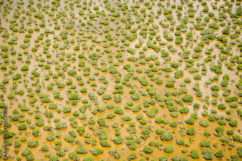 Aerial of mangroves, Everglades National Park, Florida