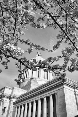 Abstract, black and white, fine art photography of stone landmark building exteriors including windows, columns, roof architecture and decorative features.