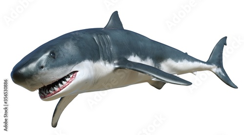 Shark isolated on white background 3d illustration