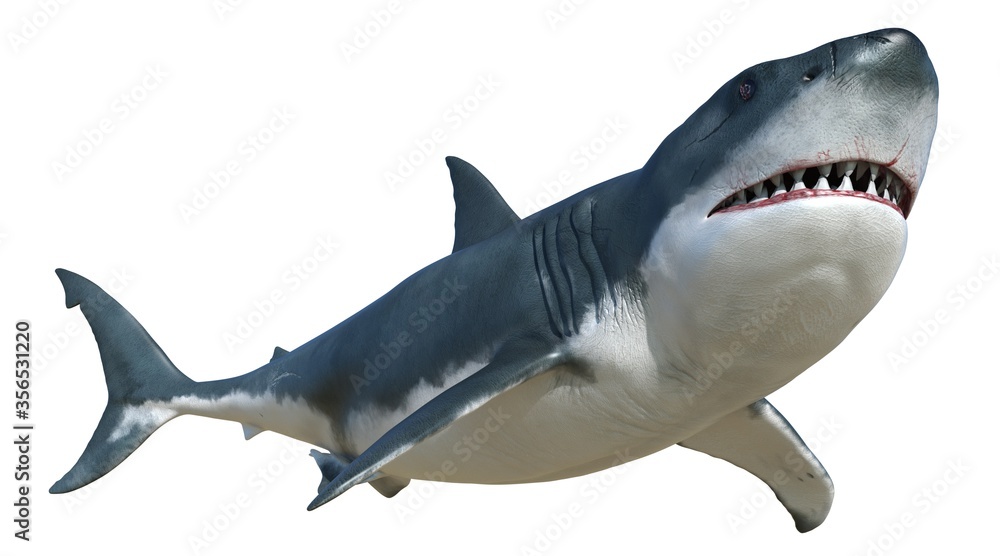 Naklejka premium Rekin na białym tle na białym tle ilustracji 3d