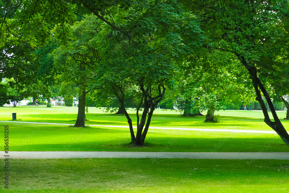 Fototapeta premium Alster lake and Alsterpark in Hamburg, Germany. Place for walking