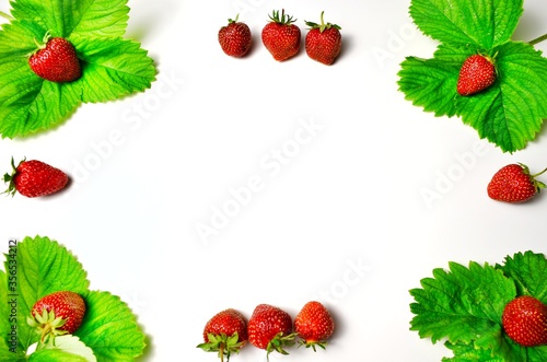 strawberry frame isolated on white